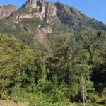 motiora