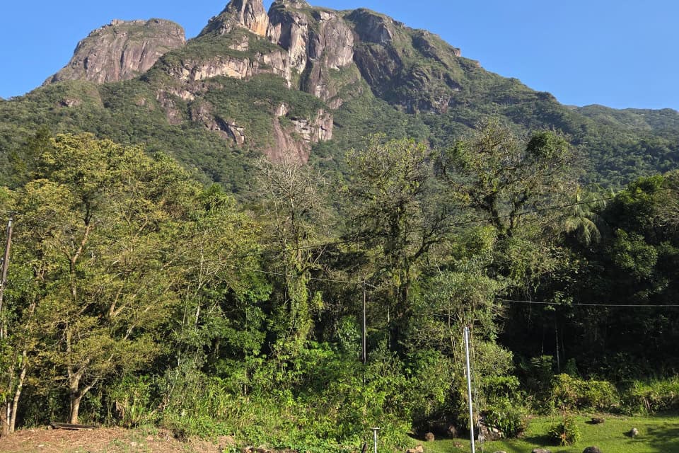 motiora