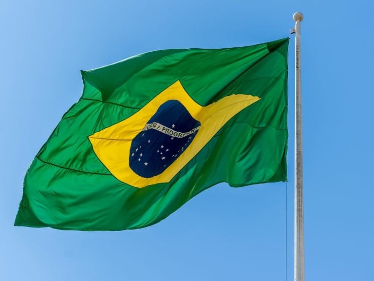 patriota