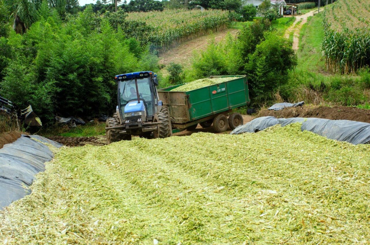 secretaria_agricultura_cilagem_foto_paulo_szostak-7-1536×1017