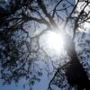sol-em-curitiba_upscayl_4x_realesrgan-x4plus