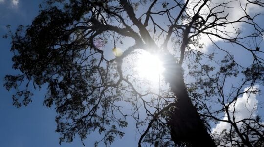 sol-em-curitiba_upscayl_4x_realesrgan-x4plus