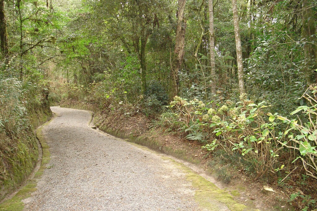 trilhas_do_parque_ii
