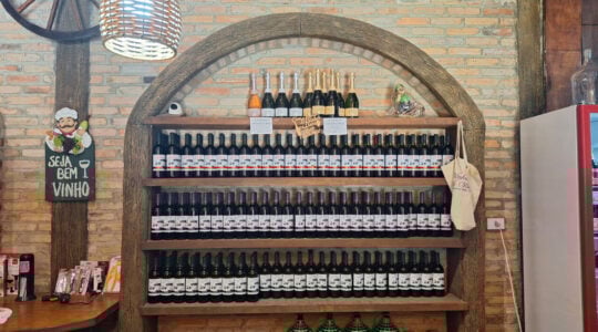 vinicola_vo_vito_creditos_viaje_pr_8