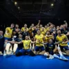 volei brasil
