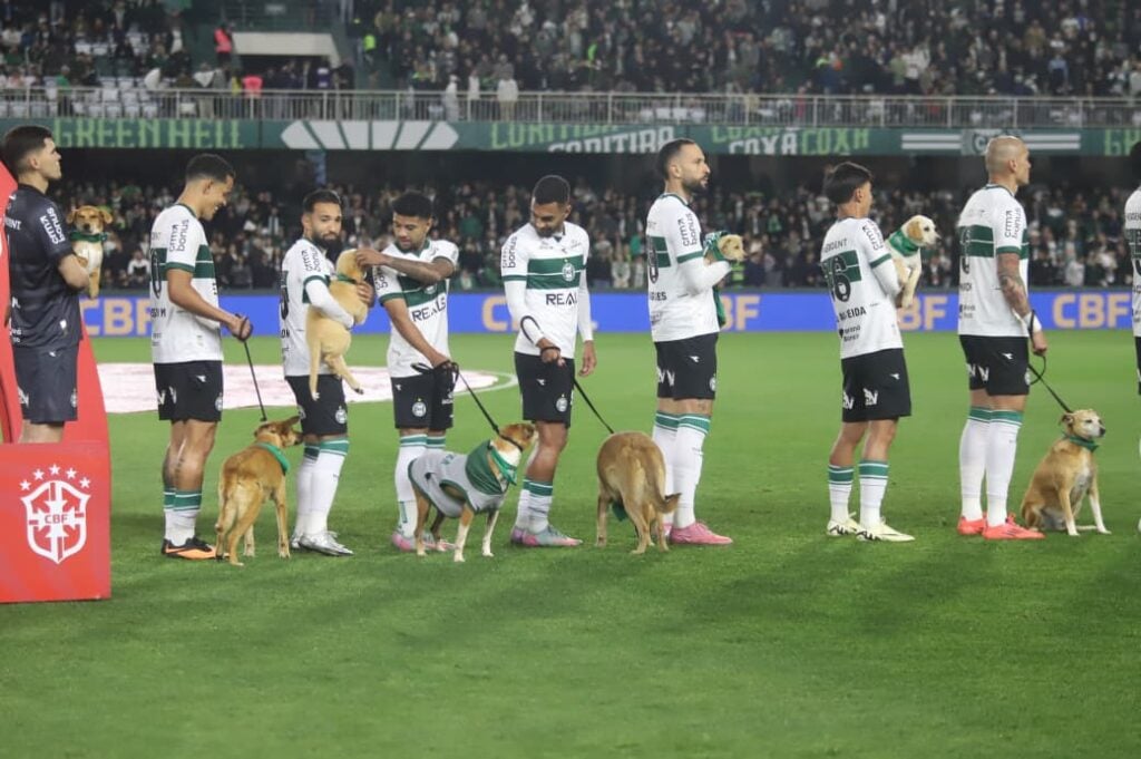 12coxa01