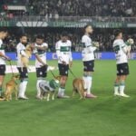 12coxa01