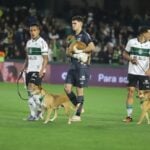 12coxa02