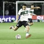 12coxa10