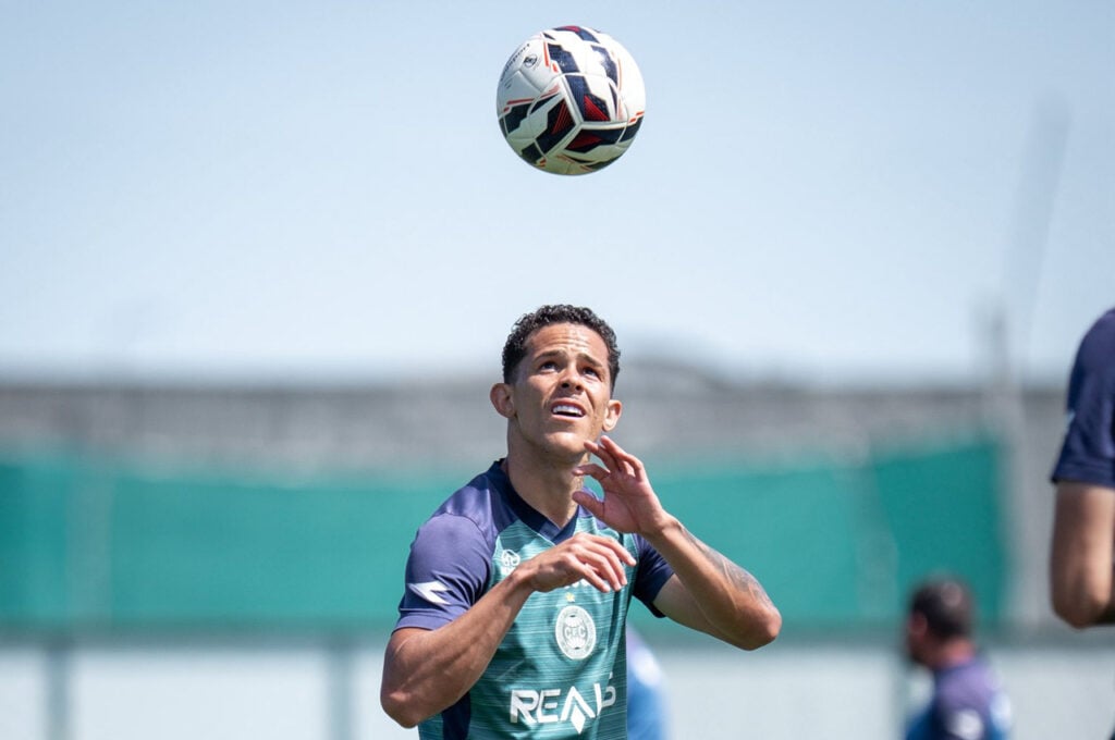 19coxa