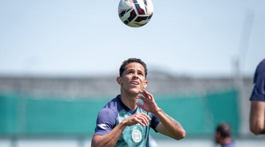 19coxa