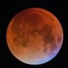 Lua de sangue