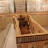 MUSEU EGIPCIO