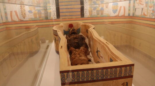 MUSEU EGIPCIO