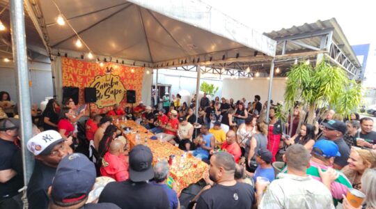 Swamp – Samba do Sapo 2 – foto Luiz Sergio da Silva Aguiar divulgacao