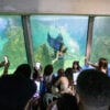 aquario de paranagua