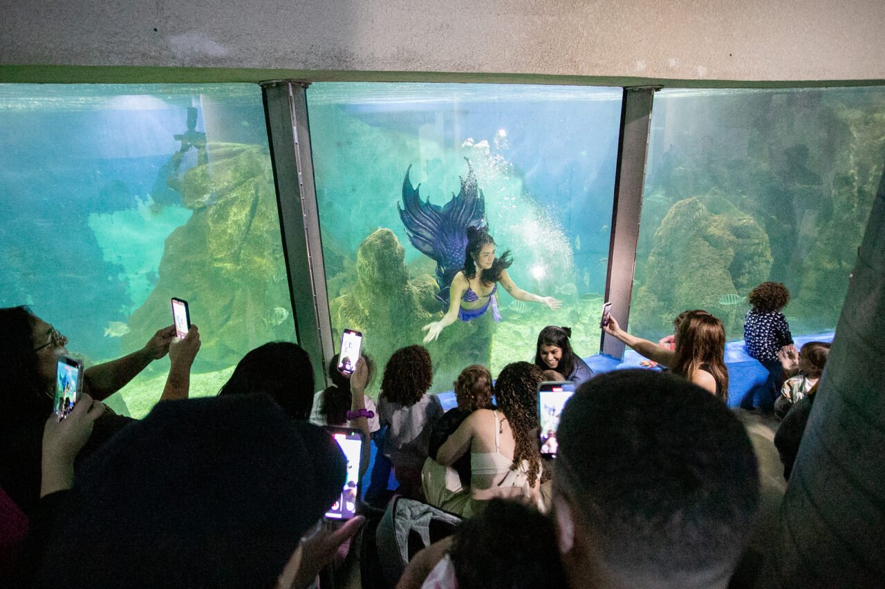 aquario de paranagua