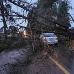 arvore cai sobre carro no cic