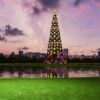 arvore de natal
