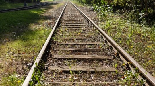 Beautiful shot of train tracks covered with grass during daytime