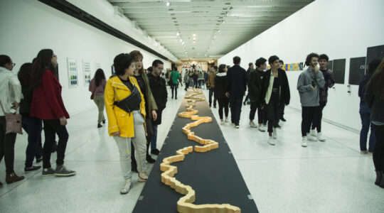 bienal-natasha-durski