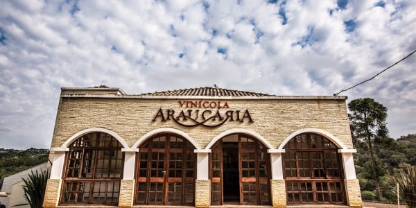 blogpost_346627_img1_araucaria
