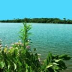 campo mourao2