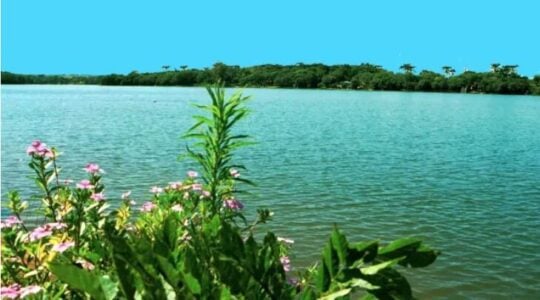 campo mourao2