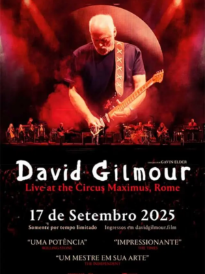 david