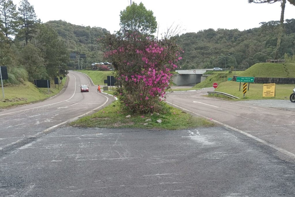 estrada_da_graciosa_conservacao_005