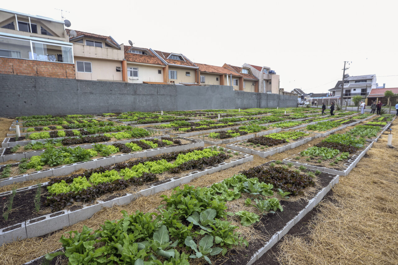 horta-urbana