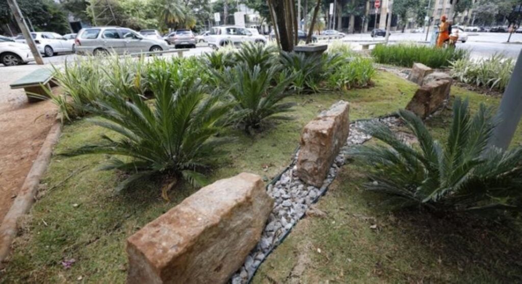 jardim-de-chuva