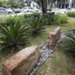 jardim-de-chuva