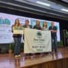 pinhais amiga das árvores
