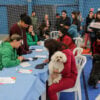 pinhais feira pet