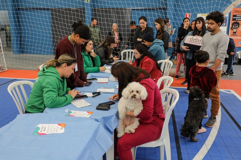 pinhais feira pet