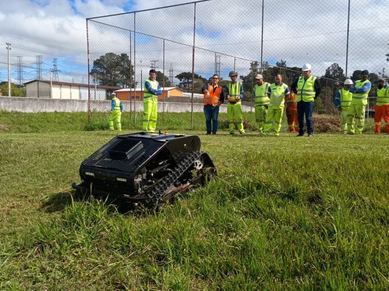 robos rocadas