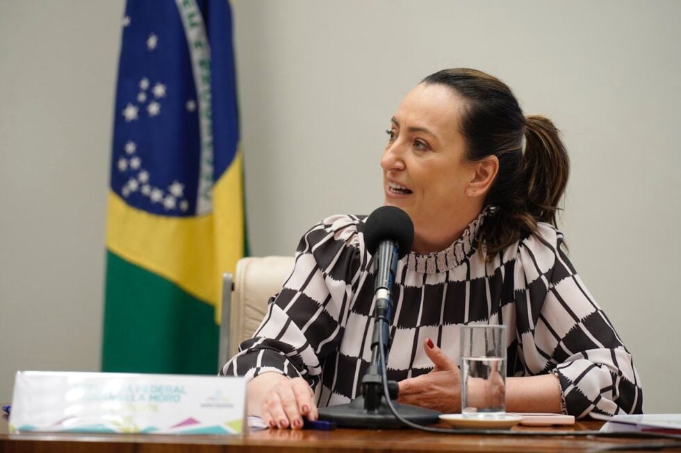rosangela moro etarismo projeto câmara