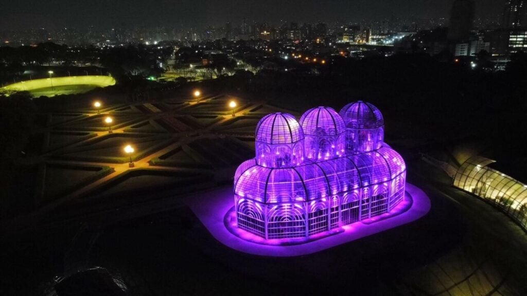 setembro roxo