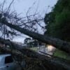 temporal defesa civil