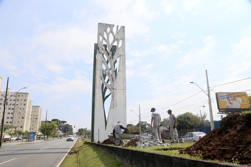 torre11