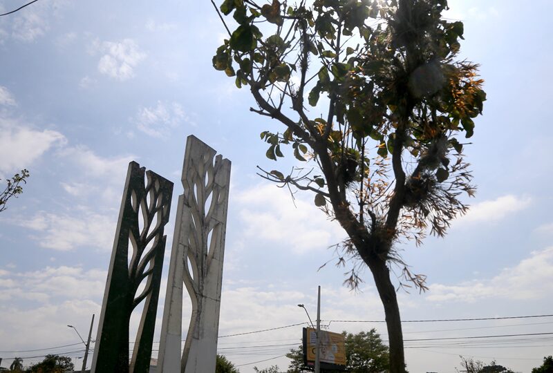 torre4