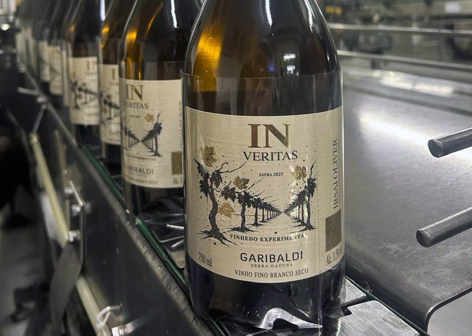 Irsai Oliver, da Cooperativa Vinícola Garibaldi, prepara-se para chegar ao mercado. Crédito foto: Ag.; Philogus