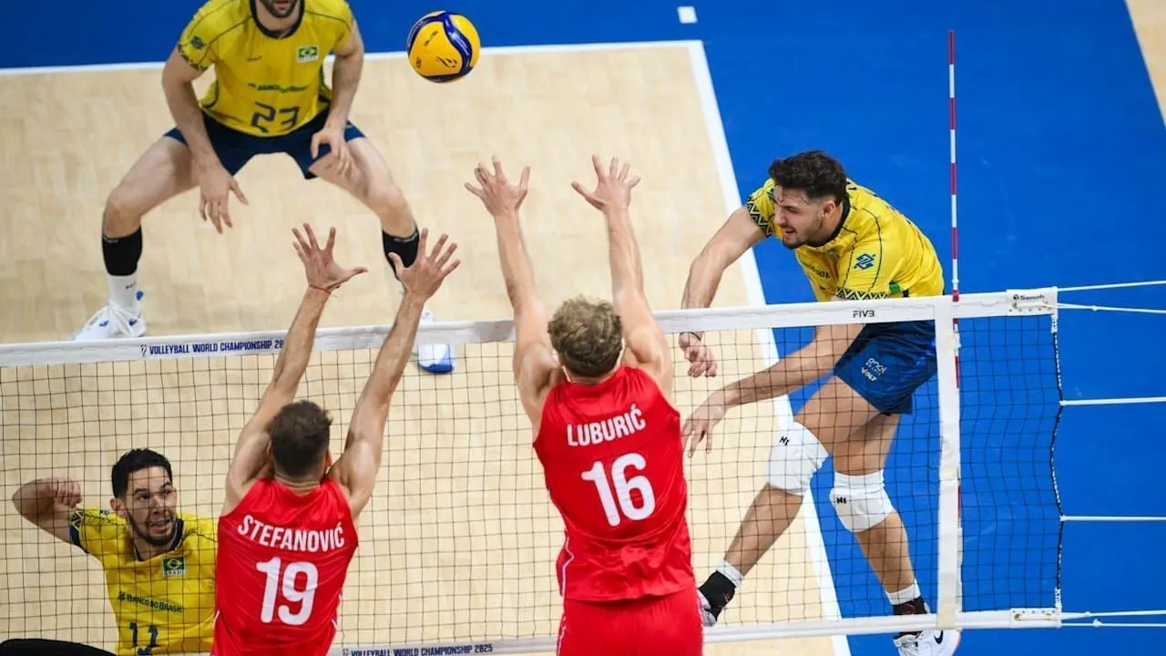 volei brasil