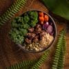 BOWLSUASSÚ (1)