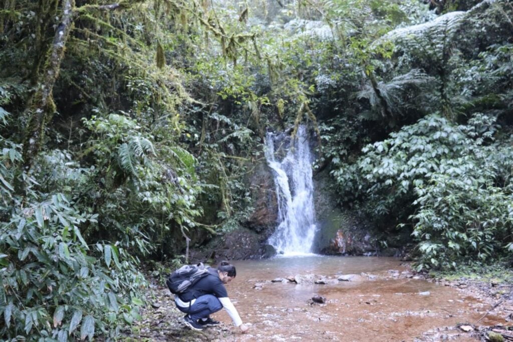 Cachoeira Gêmea 2