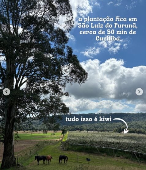 Captura de Tela (24)