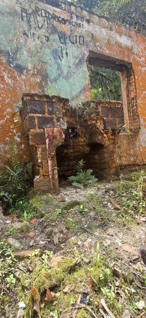 Casa11
