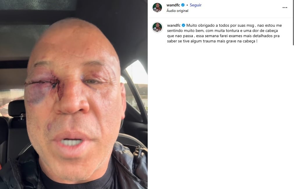 Wanderlei Silva