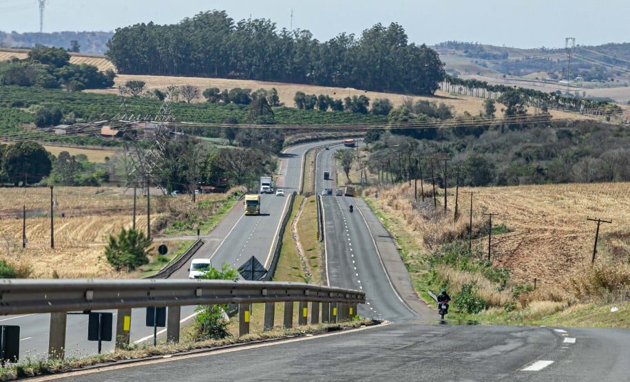 Estrada